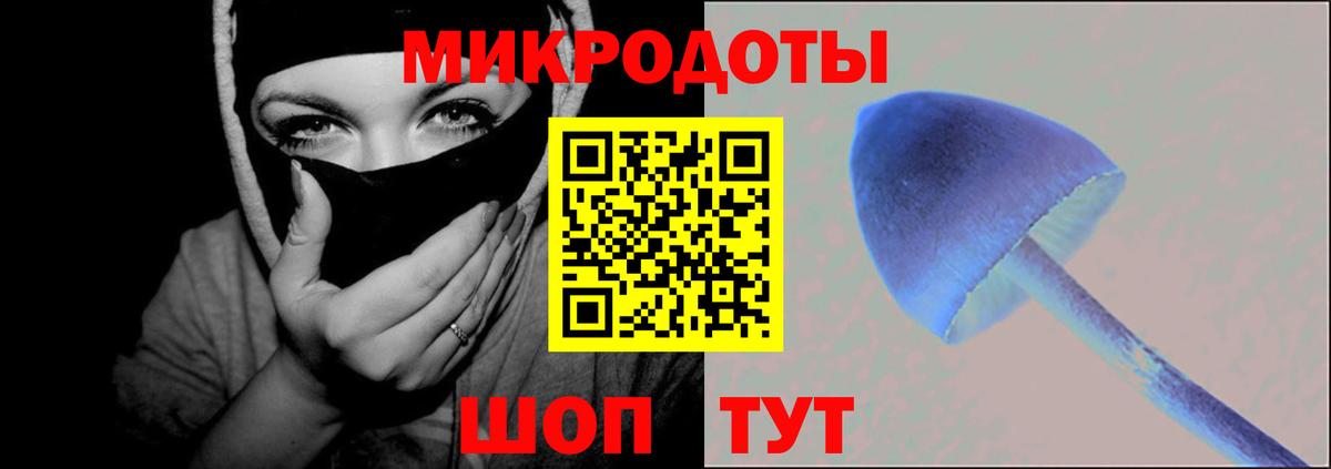 Галлюциногенные грибы Psilocybe  Галлюциногенные грибы мицелий  Кировск  Вход с VPN 